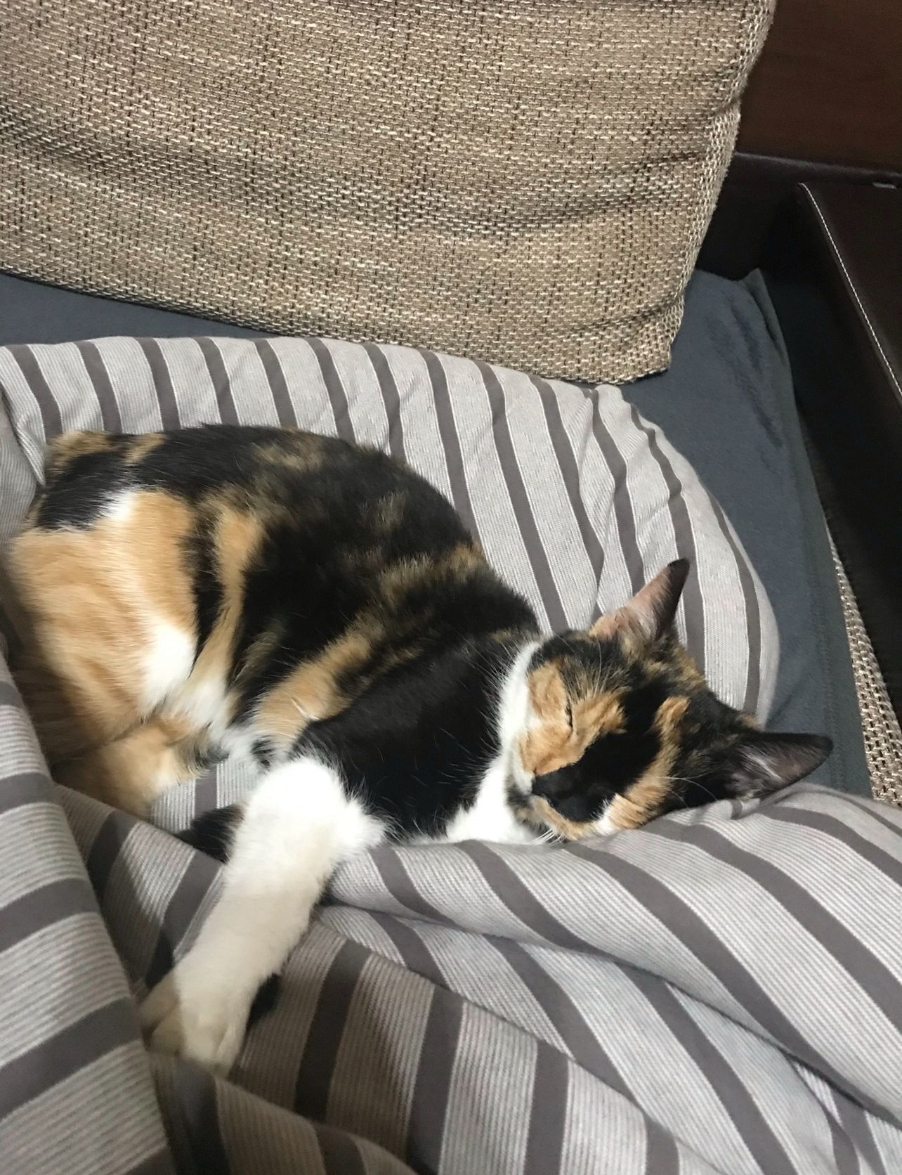 Imagine suplimentară